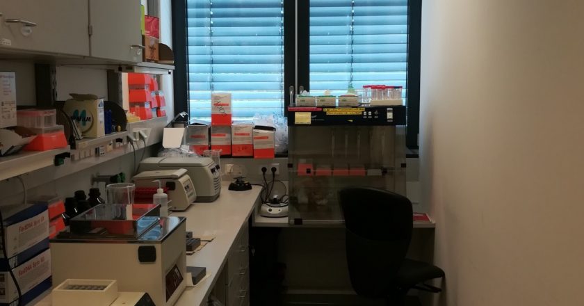 TA 2.19: DNA extraction laboratory at the Center for Microbial Life Detection at the Medical University Graz.
