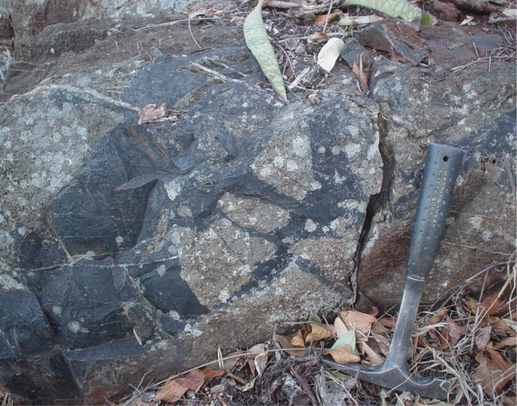 2) Image of the outcrop from which the rock sample was taken in the Barberton Greenstone Belt in South Africa. Credit: Cavalazzi et al.