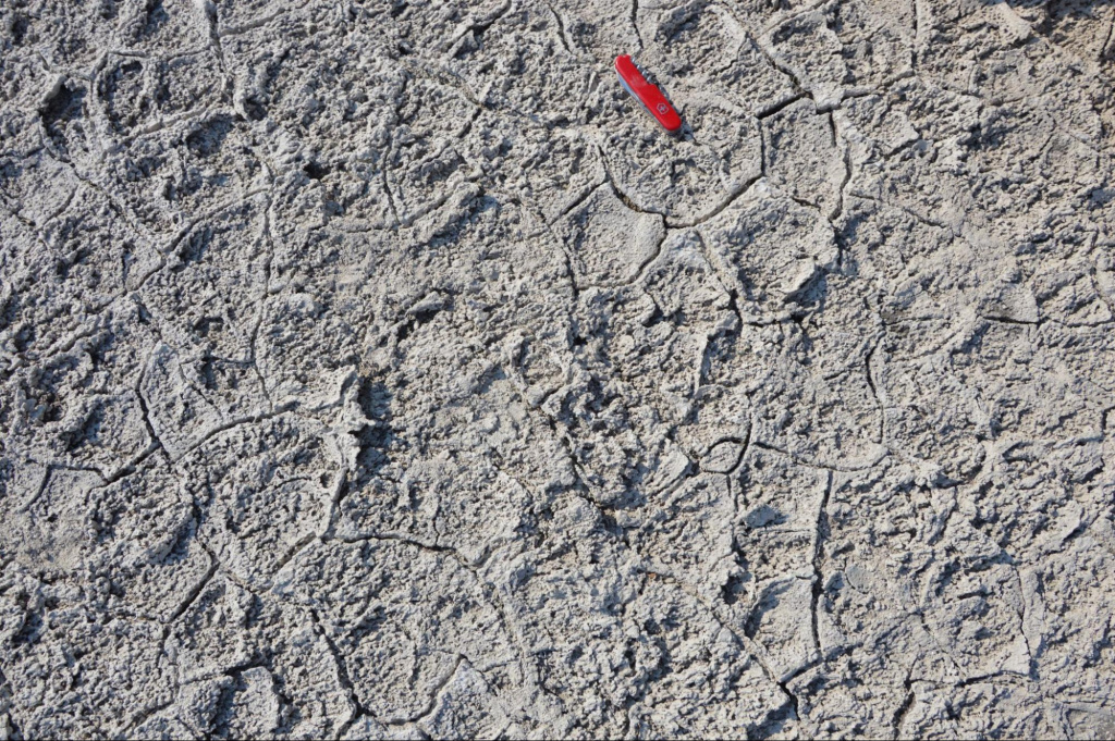 Mud cracks in the pan, formed by dessication processes typical of playa environments. Credit: E Luzzi