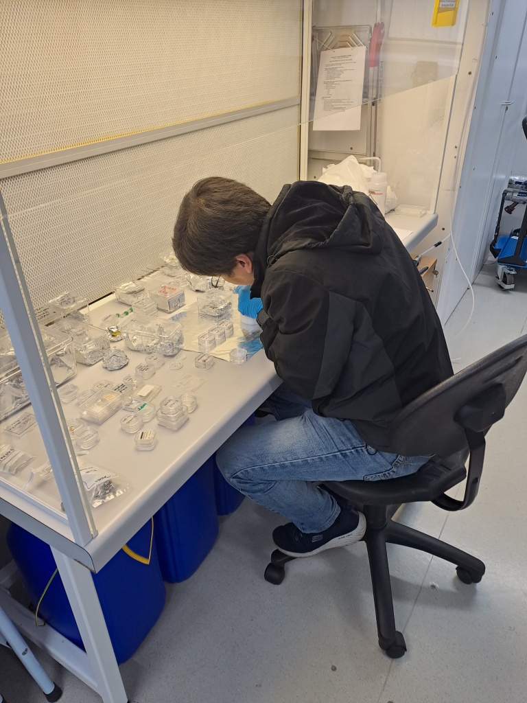 Mounting the samples onto the NanoSIMS holder.
