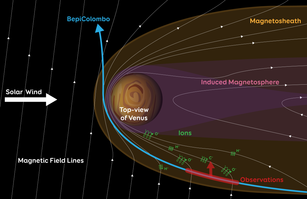 Schematic view of planetary material escaping through Venus magnetosheath flank. The red line and arrow show the region and direction of observations by BepiColombo when the escaping ions (C+, O+, H+) were observed. 