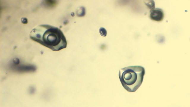 TA2.1: Recent high profile research conducted in the laboratory included the validation of the analysis of fluid inclusions (Fluid and gas inclusions in quartz shown here).